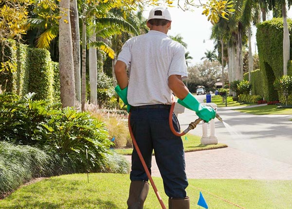 About Inwood NY Pest Control